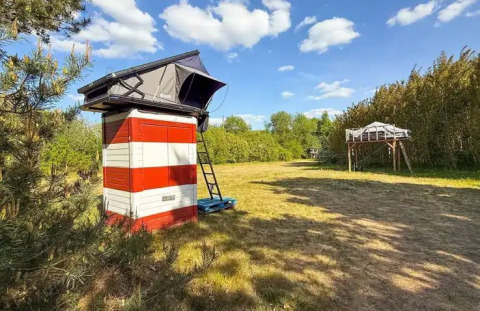 Glampingaccommodatie met verhoogde daktenten en kleurrijke hutten bij Dachzelt Dorf Sandstedt in de natuur.