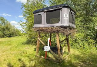 Hébergement glamping à Dachzelt Dorf Sandstedt, tente surélevée sur pilotis avec un faux nid de cigogne.