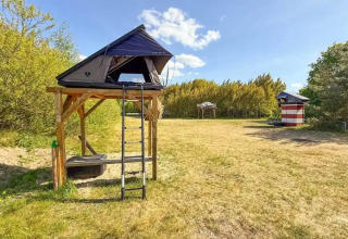 Glamping Dachzelt Dorf Sandstedt con tenda rialzata, scala e ampio prato circondato da alberi.