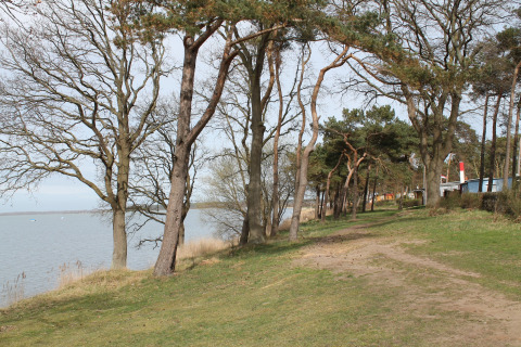 Kustpad met bomen langs het water, foto genomen bij lodge «Am Strand» in Duitsland.