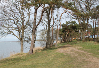Kustpad met bomen langs het water, foto genomen bij lodge «Am Strand» in Duitsland.