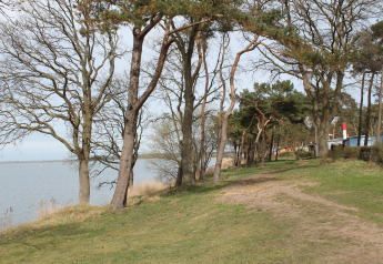 Coastal path with trees by the water, photo taken at the lodge «Am Strand» in Germany.