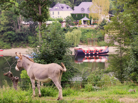 Un burro pasta junto a un lago con una barca y una casa grande en BoerenBed Hohenwarter Seehof, Turingia.