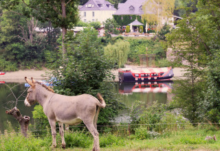 Un âne broute près d’un lac avec un bateau et une maison au BoerenBed Hohenwarter Seehof en Thuringe.