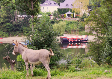 Een ezel graast bij een meer met een boot en huis op de achtergrond bij BoerenBed Hohenwarter Seehof.