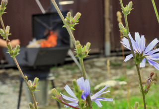 Gros plan sur des fleurs sauvages violettes avec un barbecue enflammé flou en arrière-plan en Thuringe, Allemagne.