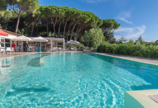 Vakantiepark Sandaya Etruria in Toscane, Italië, met een zwembad, bar en pijnbomen op de achtergrond.