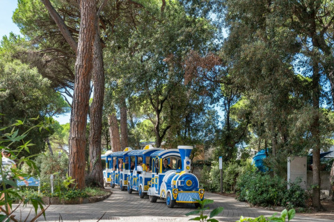 Un tren turístico azul recorre un sendero arbolado en el parque vacacional Sandaya Etruria en la Toscana.