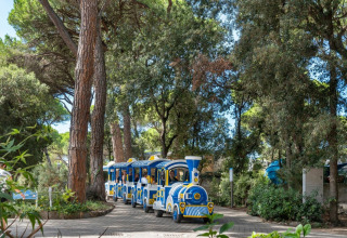 Un tren turístico azul recorre un sendero arbolado en el parque vacacional Sandaya Etruria en la Toscana.
