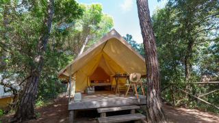 Safaritent Aventure in het bos met houten terras, stoelen, tafel en hoed, omringd door bomen.