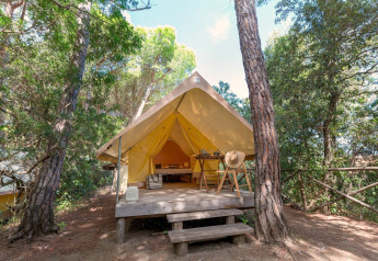 Safaritent Aventure in het bos met houten terras, stoelen, tafel en hoed, omringd door bomen.