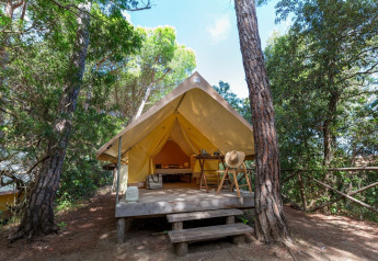 Safaritent Aventure in het bos met houten terras, stoelen, tafel en hoed, omringd door bomen.