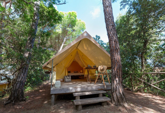 Safari telt Aventure i skoven med træterrasse, stole, bord og en hat, omgivet af grønne træer.