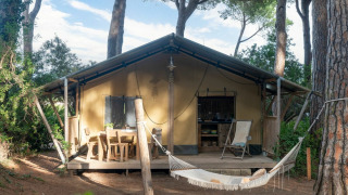Safari-Zelt namens Country Lodge mit Holzterrasse, Hängematte und Sitzbereich umgeben von Pinien.