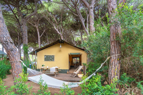 Safari teltet Country Lodge Large i en skov, med hængekøje, terrasse og udendørs siddepladser.