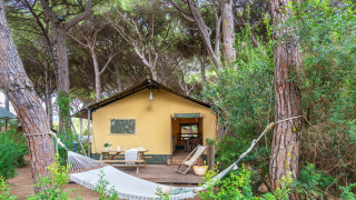 Country Lodge Large safari tent in the woods with hammock, deck, and outdoor seating area visible.