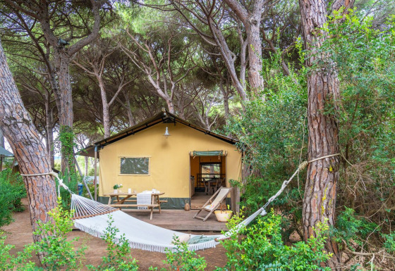 Safari teltet Country Lodge Large i en skov, med hængekøje, terrasse og udendørs siddepladser.