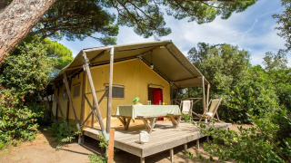 Safari tent called Lodge Safari with deck, table, and chairs surrounded by lush trees in nature.