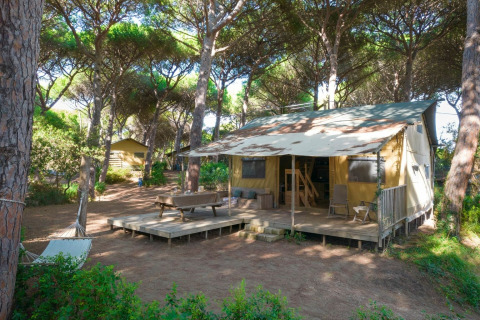 Safari tent Lodge Oasi nestled among tall pine trees, featuring a wooden deck, hammock, and seating area.