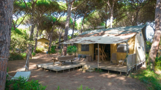 Tente safari Lodge Oasi avec terrasse en bois, hamac et coins détente sous les pins dans la forêt.