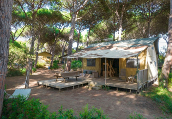 Safari tent Lodge Oasi nestled among tall pine trees, featuring a wooden deck, hammock, and seating area.