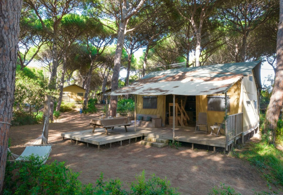 Safari tent Lodge Oasi nestled among tall pine trees, featuring a wooden deck, hammock, and seating area.