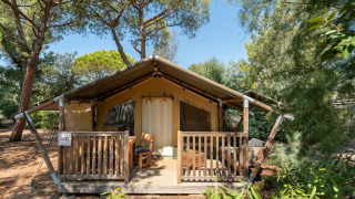 Safaritent Kenya Plus met veranda en tuinmeubilair, omringd door bomen en groen in zonnige natuur.