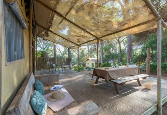 Outdoor deck at Lodge Oasi, Sandaya Etruria in Italy, with picnic table, hammock and view of the pine woods.