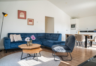 Soggiorno moderno presso Villa Waterzicht Comfort, Holiday park Molenvelden, Paesi Bassi, con arredi eleganti.