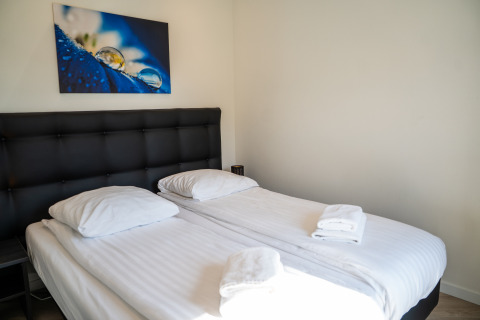 Camera moderna con due letti singoli, biancheria bianca e quadro in Villa Waterzicht Luxe 6, Molenvelden.
