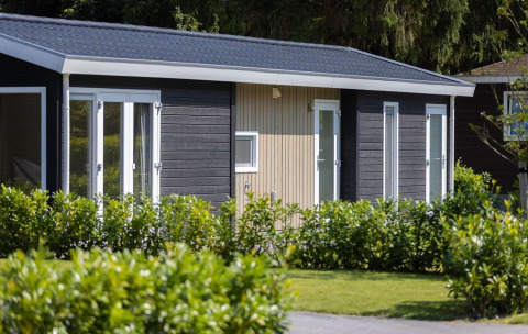 Wood Lodge at Holiday park Molenvelden in the Netherlands, surrounded by lush green bushes and bright lawn.