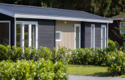 Træhytte ved Holiday park Molenvelden, Nederlandene, omgivet af grønne buske og træer i solskin.