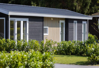 Træhytte ved Holiday park Molenvelden, Nederlandene, omgivet af grønne buske og træer i solskin.