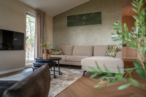 Salón moderno en Villa Veldzicht del parque Holiday Molenvelden, Países Bajos, con sofá beige y decoración elegante.