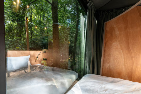 Udsigt fra et soveværelse i Slowlodge Echo ved Zomerlicht, Nederlandene, med træer og lyskæder udenfor.
