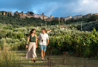 Par går gennem en vingård i Toscana med bakker og en landsby i baggrunden ved Sandaya Le Pianacce.
