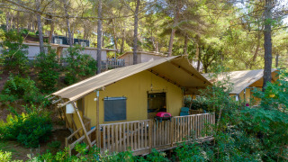 Safari tent Lodge Country omgeven door bos, met veranda, stoelen en barbecue voor een natuurrijke ervaring.