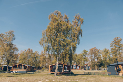 Blockhütten im The Beach House, Wilsumer Berge, Deutschland, umgeben von Bäumen und blauem Himmel.