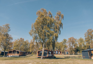Blockhütten im The Beach House, Wilsumer Berge, Deutschland, umgeben von Bäumen und blauem Himmel.