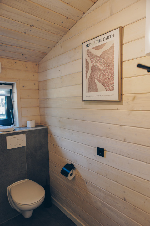 Salle de bain moderne avec murs en bois, toilette suspendue et tableau au Beach House de Wilsumer Berge, Allemagne.