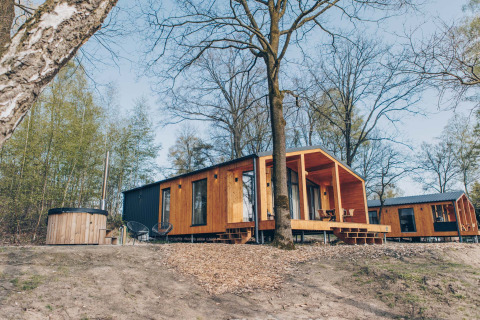 Houten huisjes bij Hill Side Scandi lodge in Wilsumer Berge, Duitsland, omgeven door bosrijke natuur.