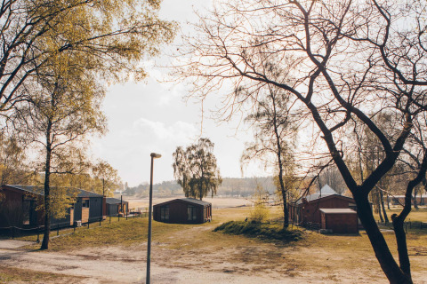 Uitzicht op Hill Side Scandi-lodge bij Wilsumer Berge in Duitsland met huisjes en bomen in het zonlicht.