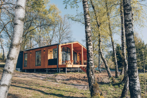 Beach Side Scandi lodge at Wilsumer Berge, Germany, surrounded by birch trees and natural scenery.