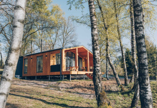 Beach Side Scandi lodge at Wilsumer Berge, Germany, surrounded by birch trees and natural scenery.