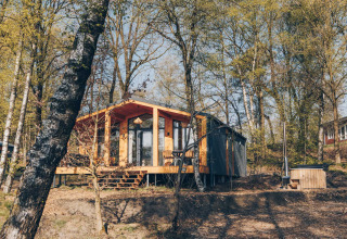 Modern wooden Beach Side Scandi lodge in Wilsumer Berge, Germany, surrounded by forest trees.