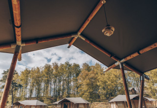Uitzicht vanaf een safaritent veranda met houten balken, andere tenten en een bos in de achtergrond.