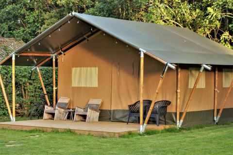 Safari-Zelt mit hölzerner Terrasse, Stühlen davor und üppigem Grün sowie Bäumen im Hintergrund.