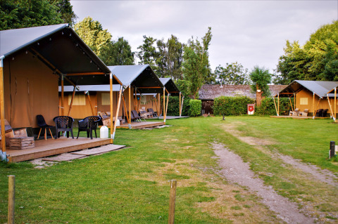Tende safari presso Camping Gorishoek nei Paesi Bassi, immerse nel verde con aree relax esterne.