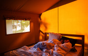 To personer sover i en seng inde i et oplyst safaritelte ved Camping de Chênefleur i Belgien.