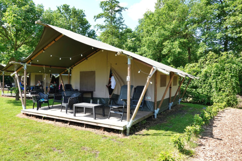 Safari tent with a porch, outdoor furniture, and lush green surroundings nestled in a peaceful forest.